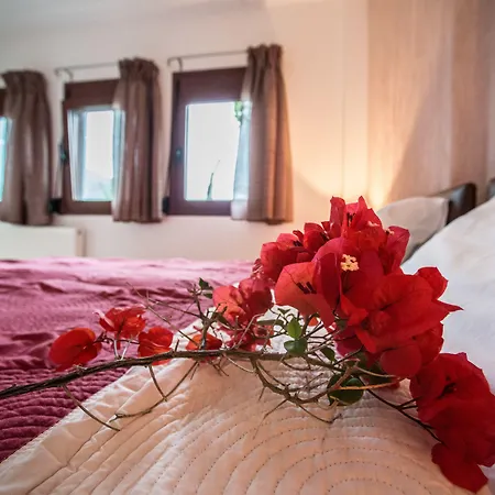 Okeanides * Rethymno